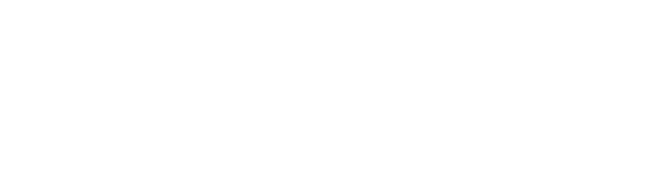 STEM Next