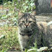 IMG-20250418-111908