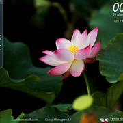 Lotus