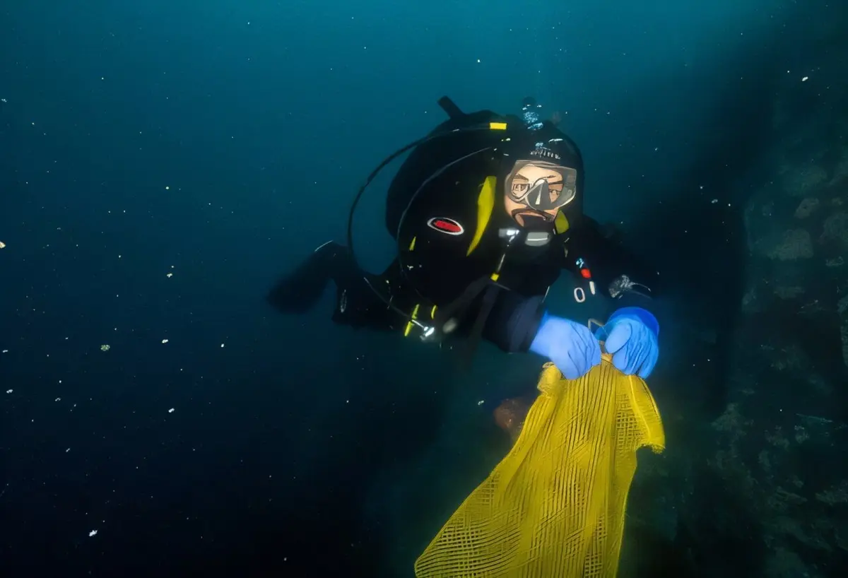 Antarctic Expedition Uncovers Clues to Melanoma Treatment