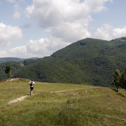 IMG-0381