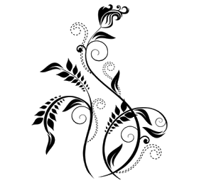 041f36eb6d92d0aaad690404afe81bbd.png