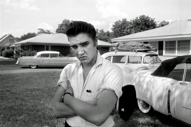 elvis audubon
