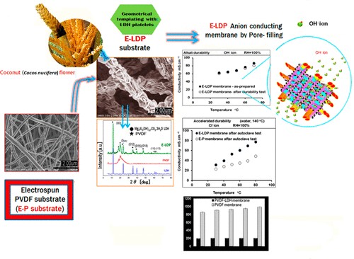 Aniosotropically Organized LDH on PVDF: A Geometrically Templated Electrospun Substrate for Advanced Anion Conducting Membranes
