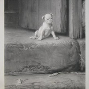 Cave-Canem