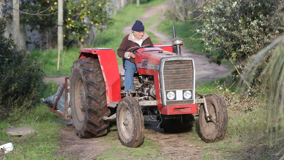 TRACTOR.avif TRACTOR.avif