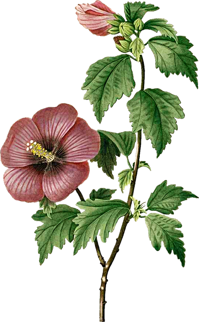 bd175f89fab7d39d25b612a087ce166a.png