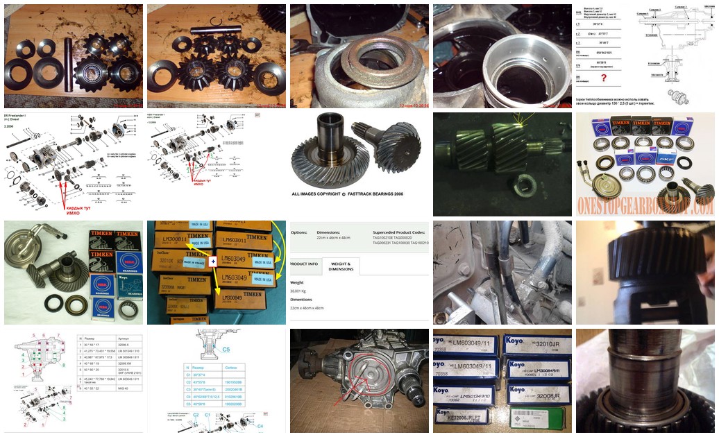 https://i.ibb.co/prMbrfq7/4092-collage.jpg