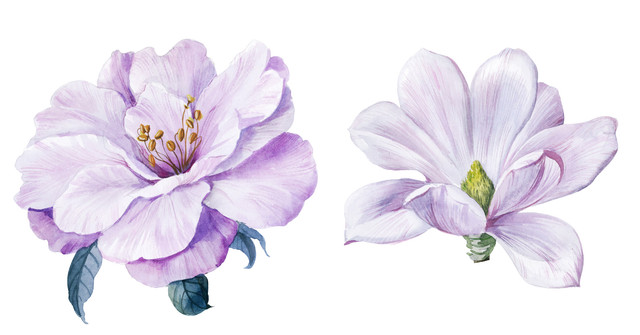 shutterstock 1799255059.jpg
