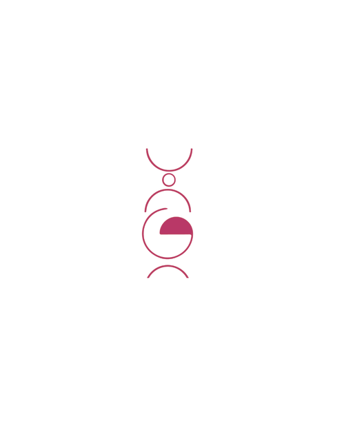 BDOOR Logo