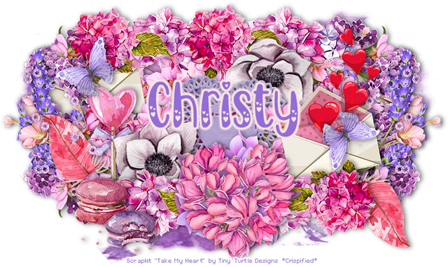 Christy 5074B.png