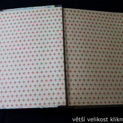 IMG-7921