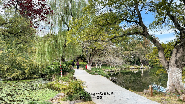 花港观鱼24.png