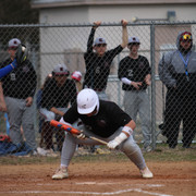 IMG-9603