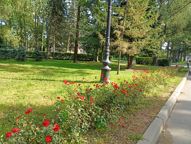 IMG-20240923-134724