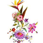 a3a6c35998c1eec38788535ddc3f76a3