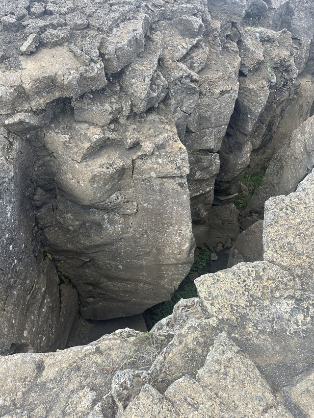 IMG-6721