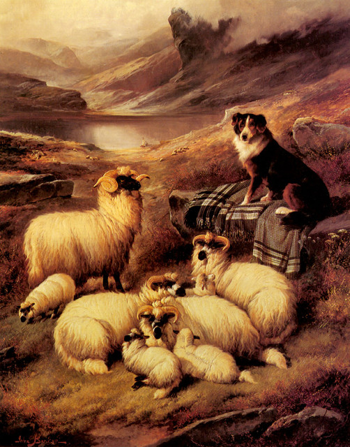 Barker-John-Guarding-His-Flock