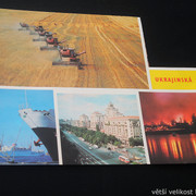 IMG-4519