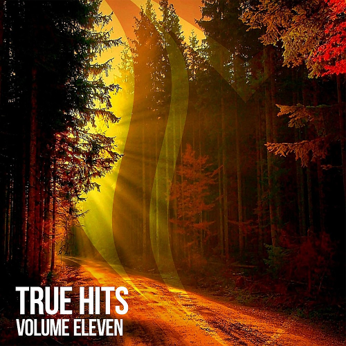 Various Artists - True Hits Vol. 11 (2026)