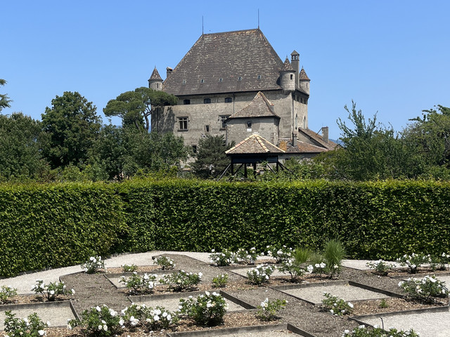 IMG-5014