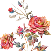 7c45caa919f66ffa8e47c8c28fd593d1