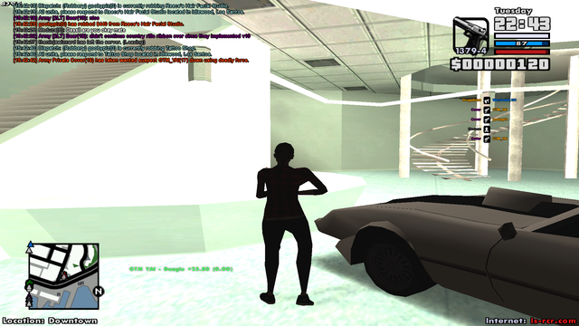 sa-mp-004-2.png