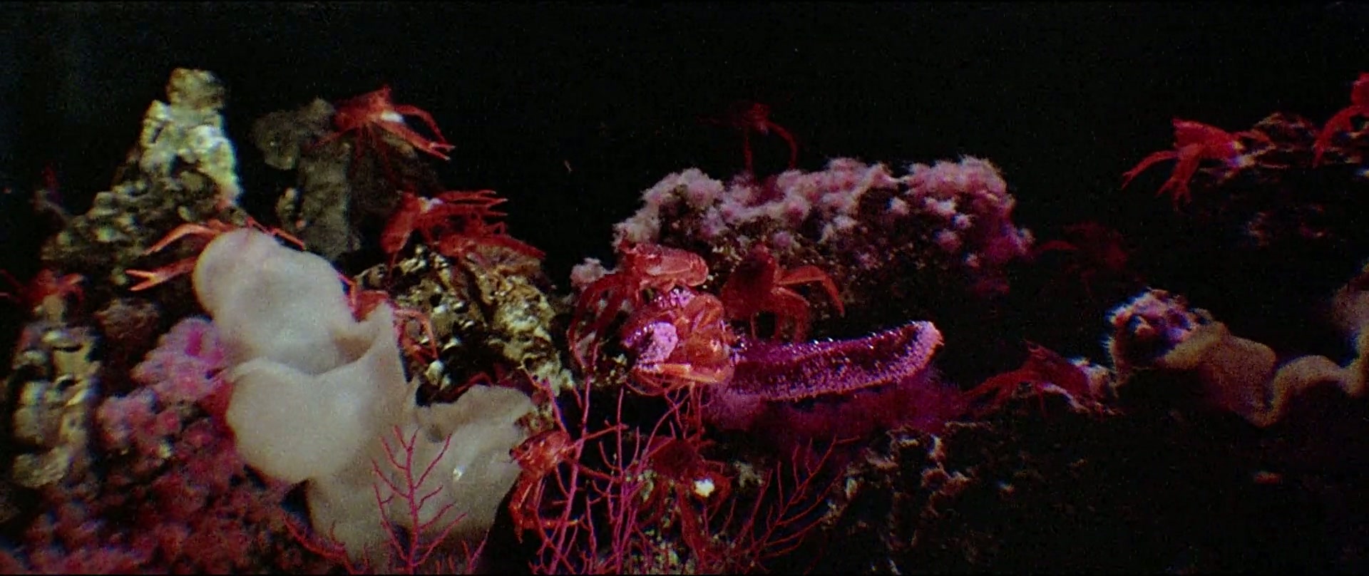 Jaws 3-D Screenshot