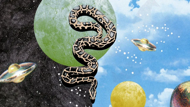 dream meaning