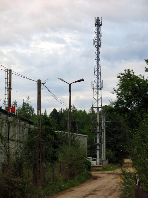 IMG-4344