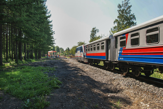 DSC07727 2.jpg