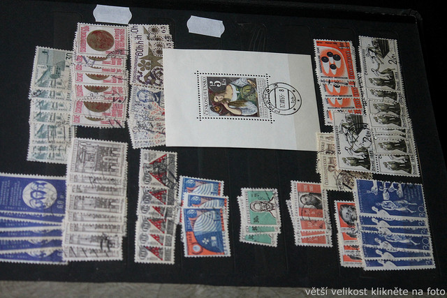 IMG-2044.jpg