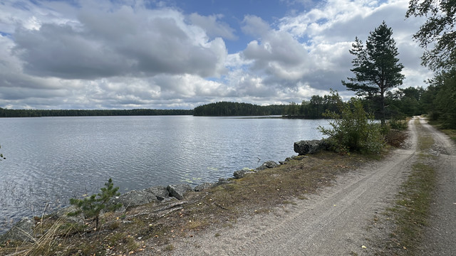 IMG 4560.jpg
