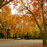 DSCN5035 1