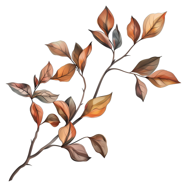99dd31efd17b2cf0f1a7818ef6642605.png