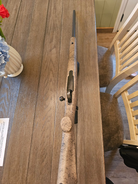 260b.jpg