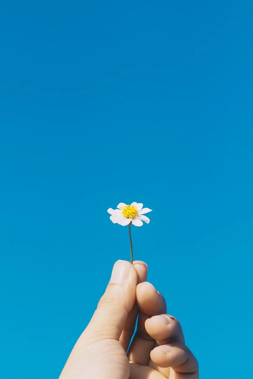 High quality Flower Wallpaper wallpaper by caplochanvu from Pixabay