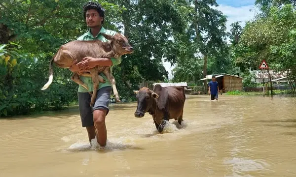 World Bank’s Pullback on Climate Goals Threatens India’s Rural Poor