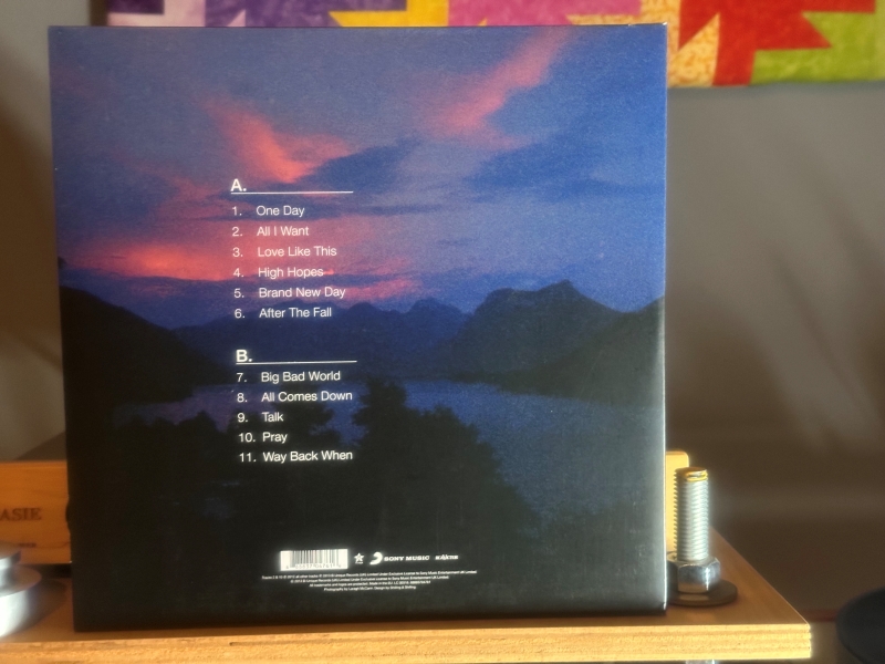 Kodaline-In-APerfect-World-Back.jpg