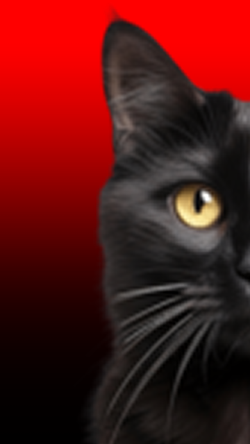 Catbookexample