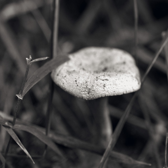 IMGP3479.jpg