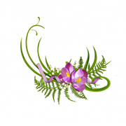 0-772d8-8c7e43e6-L