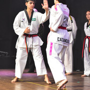 IMG-3003