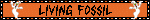 IMG-0220.gif