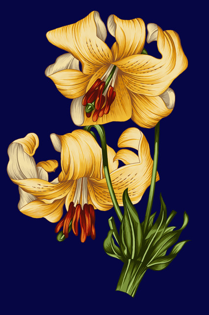 shutterstock 1586751601.jpg