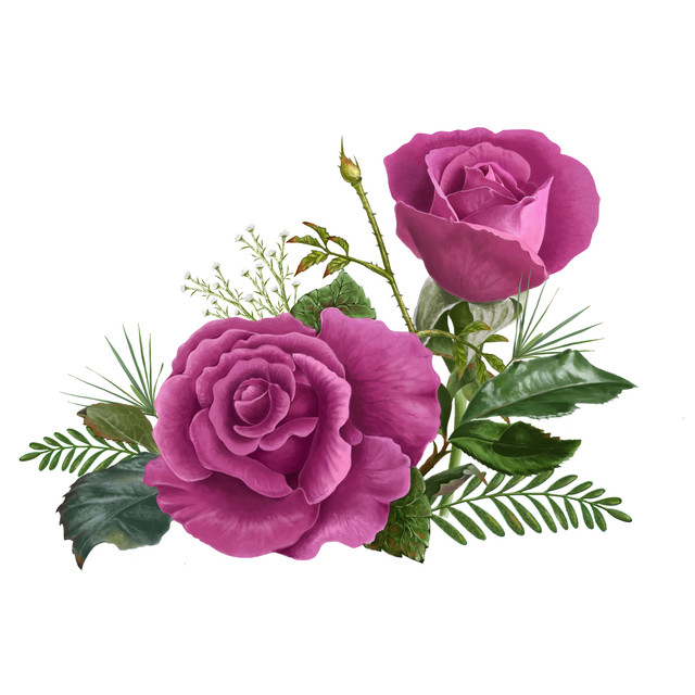 shutterstock-491722303.jpg