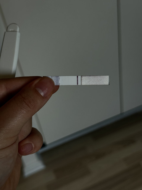 IMG-7728
