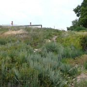 P1180858