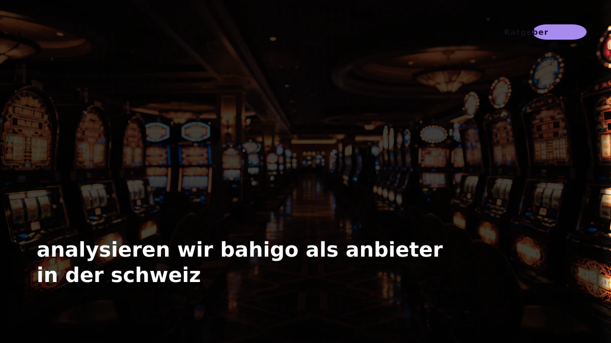 analysieren wir bahigo als anbieter in der schweiz