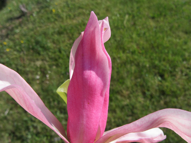 IMG-7774